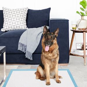 Costway Traverse usa e getta con controllo odore, Traverse con asciugatura rapida per cani gatti conigli 75 x 75 cm