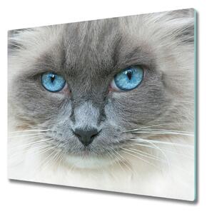 Tagliere in vetro Occhi blu di gatto 60x52 cm