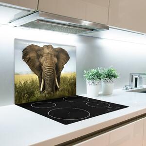 Tagliere in vetro Elefante nella savana 60x52 cm
