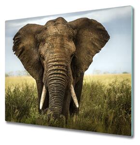 Tagliere in vetro Elefante nella savana 60x52 cm