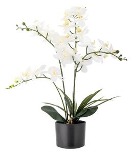 Fiore finto (altezza 84 cm) Orchid - Bloomingville