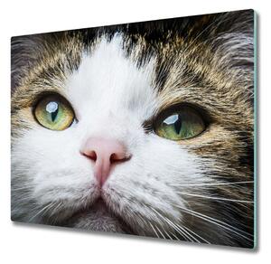 Tagliere in vetro Occhi di gatto verde 60x52 cm