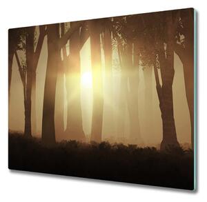 Tagliere in vetro temperato Nebbia nella foresta 60x52 cm
