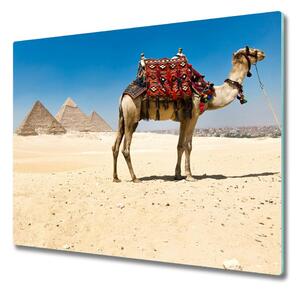 Tagliere in vetro Un cammello al Cairo 60x52 cm