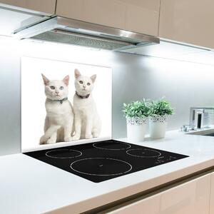 Tagliere in vetro temperato Gatti bianchi 60x52 cm