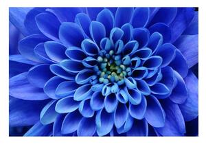 Carta da parati Fiore blu 104x70 cm