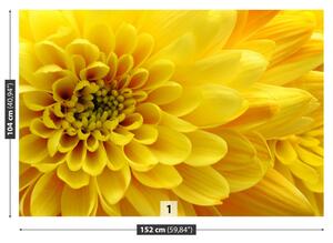 Carta da parati Fiore giallo 104x70 cm