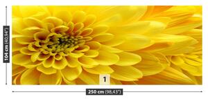 Carta da parati Fiore giallo 104x70 cm