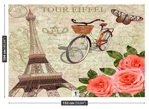 Carta da parati Paris vintage 104x70 cm