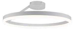 Lampadario a plafone LED dimmerabile LED/40W/230V 3000-6500K bianco + telecomando