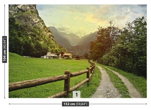 Carta da parati Alpi svizzere 104x70 cm