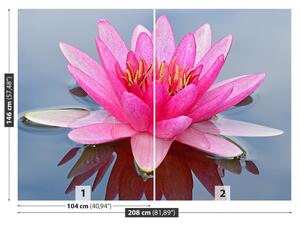 Carta da parati Lily di acqua rosa 104x70 cm