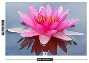 Carta da parati Lily di acqua rosa 104x70 cm