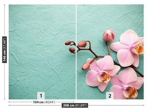 Carta da parati Orchidea rosa 104x70 cm