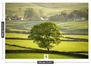 Carta da parati Inghilterra Derbyshire 104x70 cm