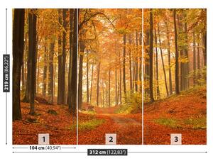 Carta da parati Foresta in autunno 104x70 cm