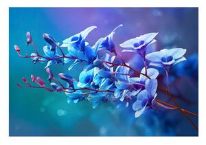 Carta da parati Orchidea blu 104x70 cm