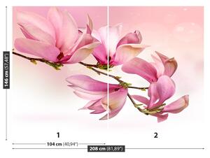 Carta da parati Magnolia 104x70 cm