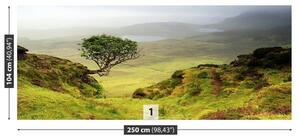 Carta da parati Skye Island Scotland 104x70 cm