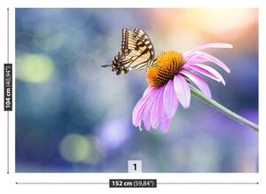 Carta da parati Farfalla echinacea 104x70 cm