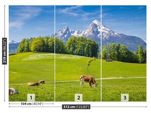 Carta da parati Alpi mucche 104x70 cm