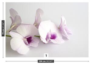 Carta da parati Orchidee bianche 104x70 cm