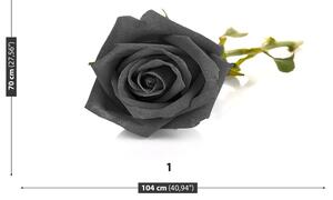 Carta da parati Rosa nera 104x70 cm