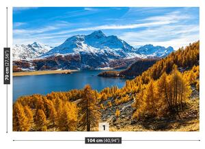 Carta da parati Lago Alpi 104x70 cm