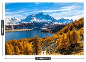 Carta da parati Lago Alpi 104x70 cm