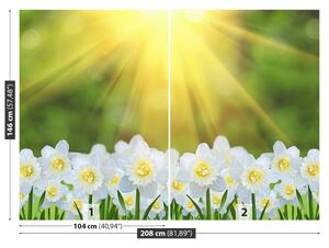 Carta da parati Narcissus White 104x70 cm