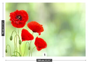Carta da parati Poppies rossi 104x70 cm