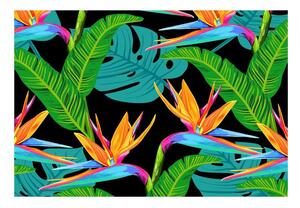 Carta da parati Fiori tropicali 104x70 cm