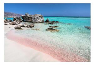 Carta da parati Sabbia rosa marino 104x70 cm