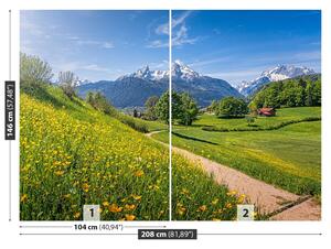 Carta da parati Alpi idilliache 104x70 cm