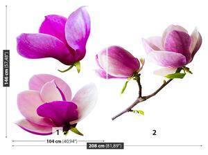 Carta da parati Fiori magnolia 104x70 cm