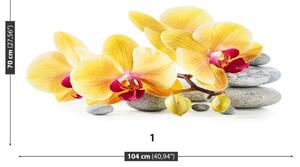 Carta da parati Orchidea gialla 104x70 cm