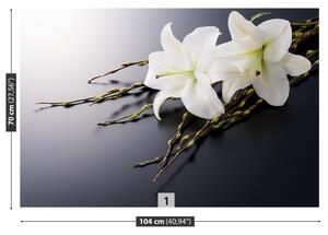 Carta da parati Lily bianco 104x70 cm