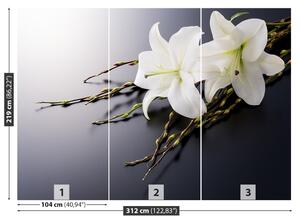 Carta da parati Lily bianco 104x70 cm