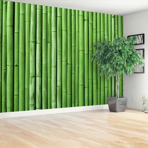 Carta da parati Bambù verde 104x70 cm