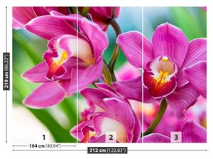 Carta da parati Orchidee rosa 104x70 cm