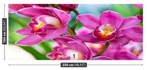 Carta da parati Orchidee rosa 104x70 cm