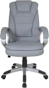 Sedia da ufficio ergonomica, con regolazioni multiple, imbottitura extra spessa, colore grigio, ideale per l'ufficio