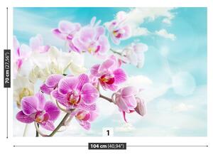 Carta da parati Orchidee blu 104x70 cm