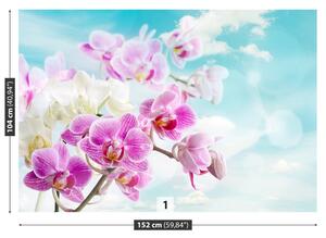 Carta da parati Orchidee blu 104x70 cm