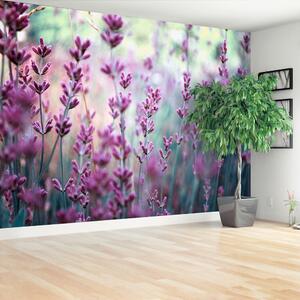 Carta da parati Verde lavanda 104x70 cm