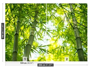Carta da parati Branch Bambus 104x70 cm