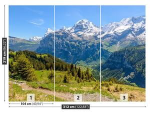 Carta da parati Alpi 104x70 cm
