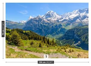 Carta da parati Alpi 104x70 cm
