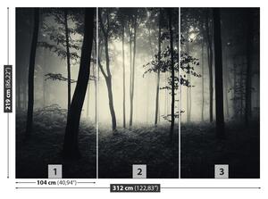 Carta da parati Foresta nebbiosa 104x70 cm
