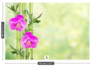Carta da parati Orchidea e bambù 104x70 cm